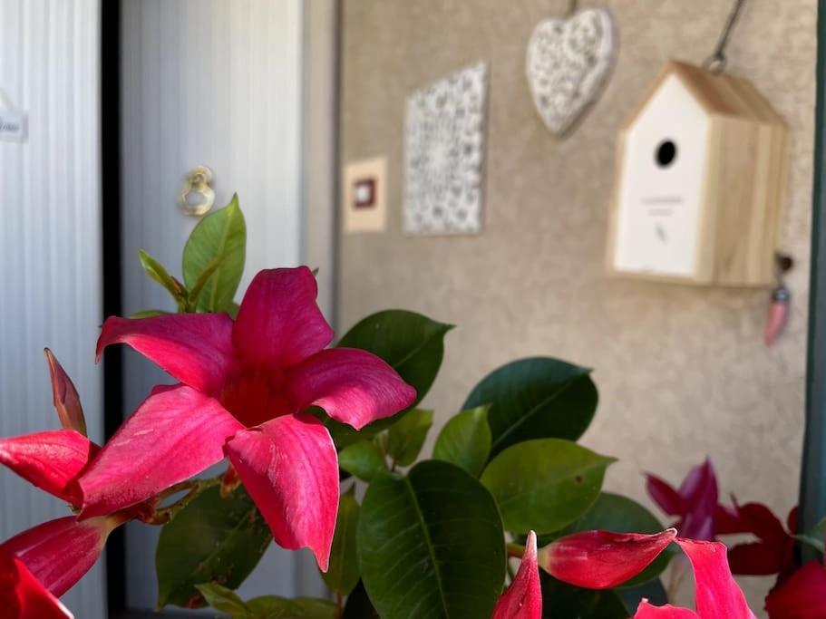 Annali Casa Vacanze - Shabby Style Nella Natura La Spezia Bagian luar foto