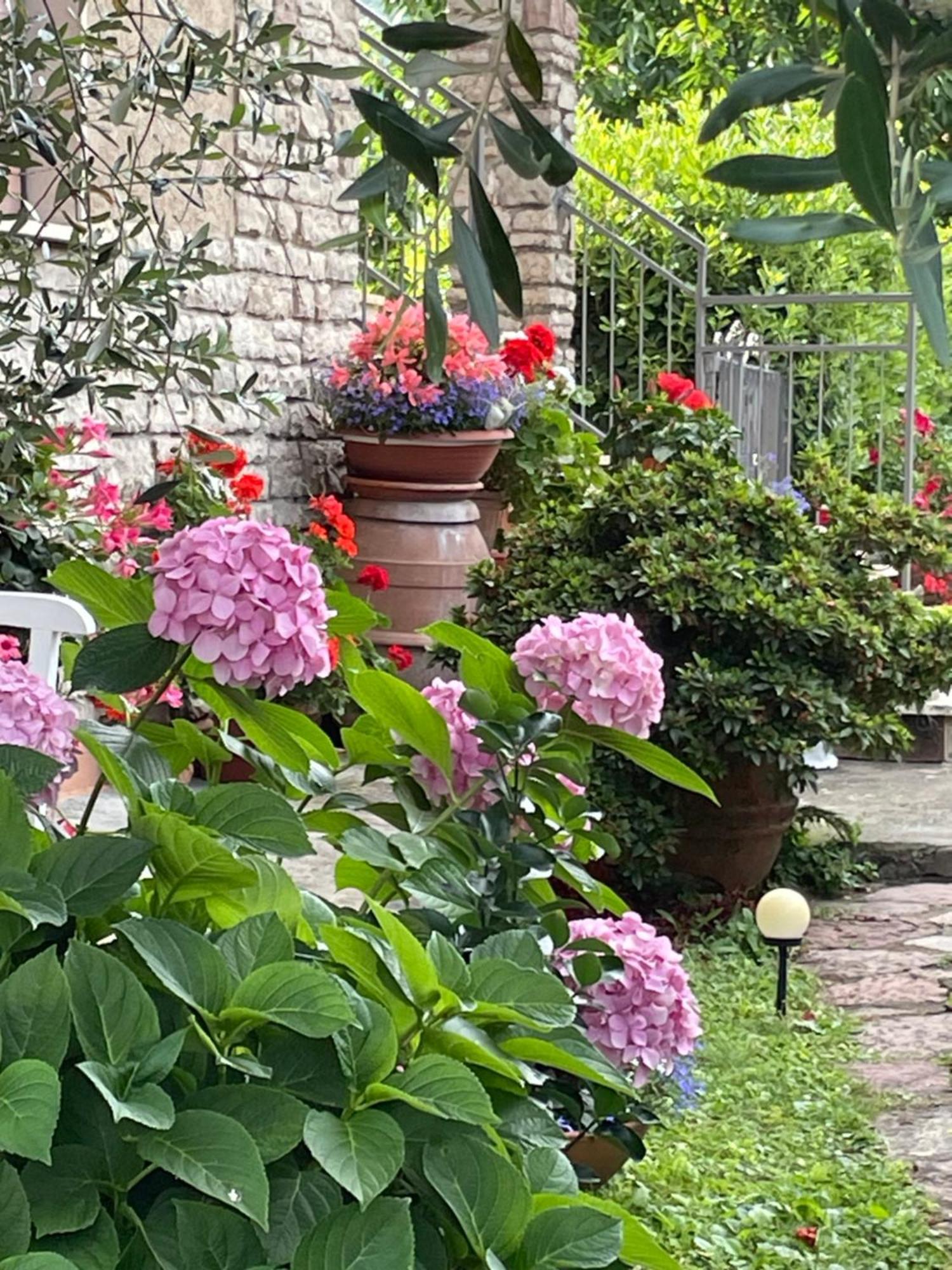Annali Casa Vacanze - Shabby Style Nella Natura La Spezia Bagian luar foto
